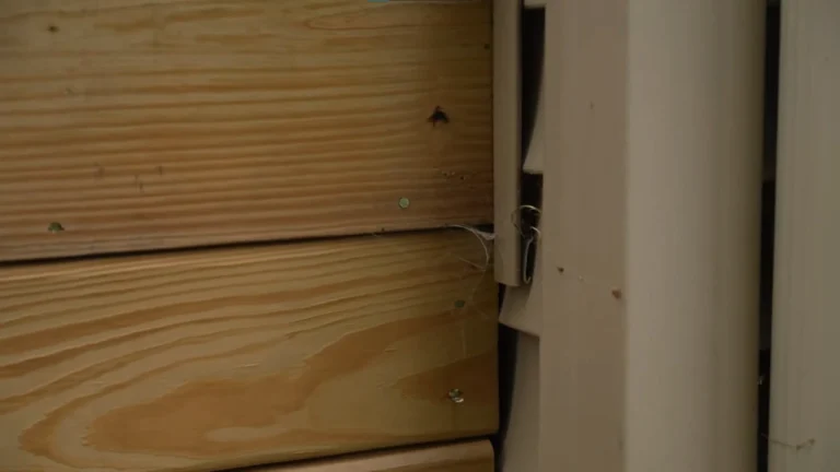 Close-up of timber boards meeting wall cladding, showing a small gap at the join