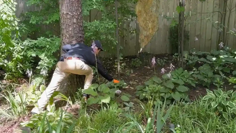 Pest control technician crouching to treat a shaded garden bed beneath a tree beside a timber fence